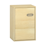 Pureo Kast met deur fineer B 50 x H 75 x D 42 cm