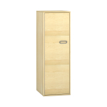 Pureo Kast met deur fineer B 50 x H 150 x D 60 cm